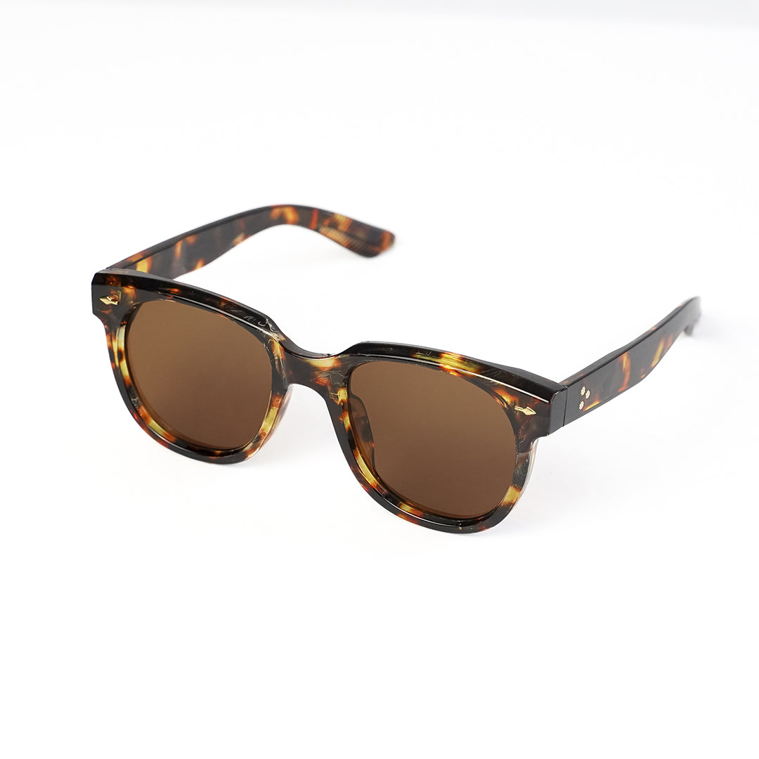 Lentes de Sol Palm