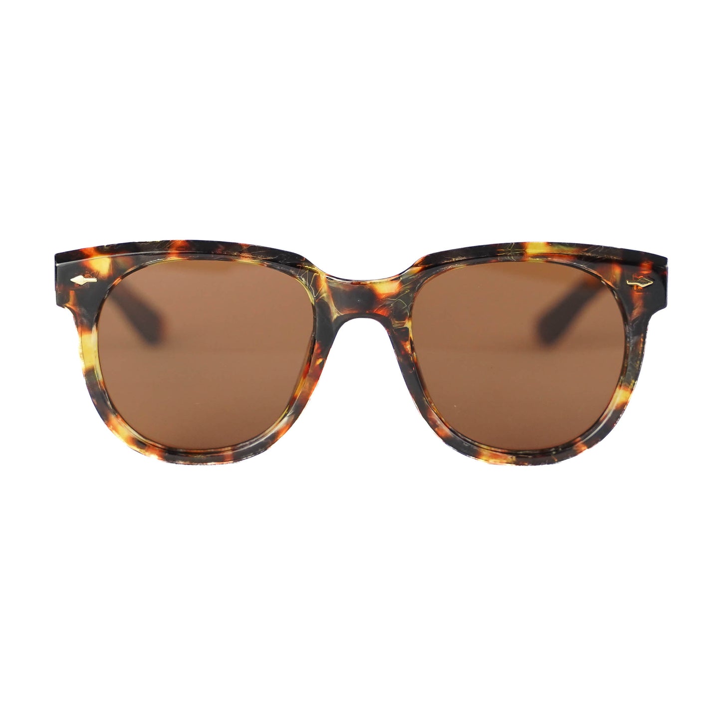 Lentes de Sol Palm