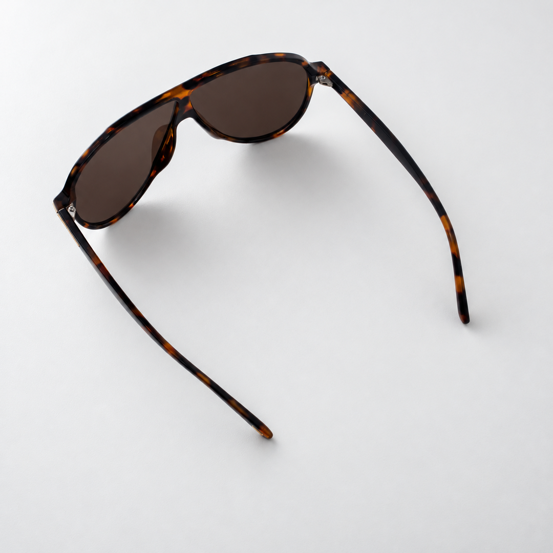 Lentes de Sol Icon